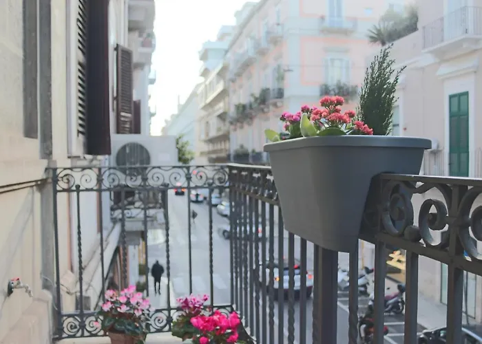 The Singer's House Apartament *